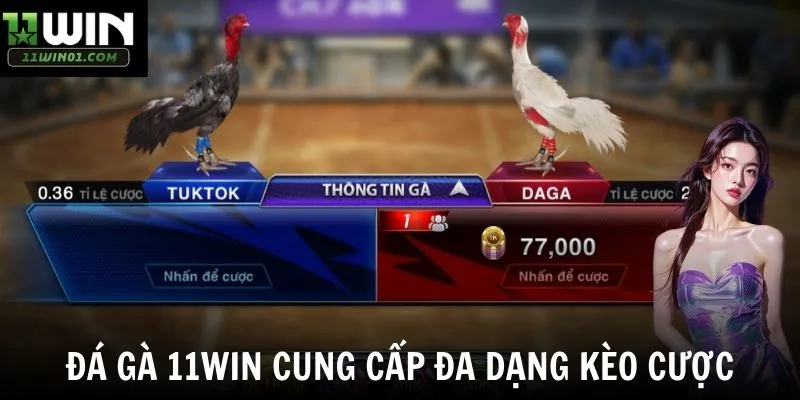 Đá gà 11win cung cấp đa dạng kèo cược