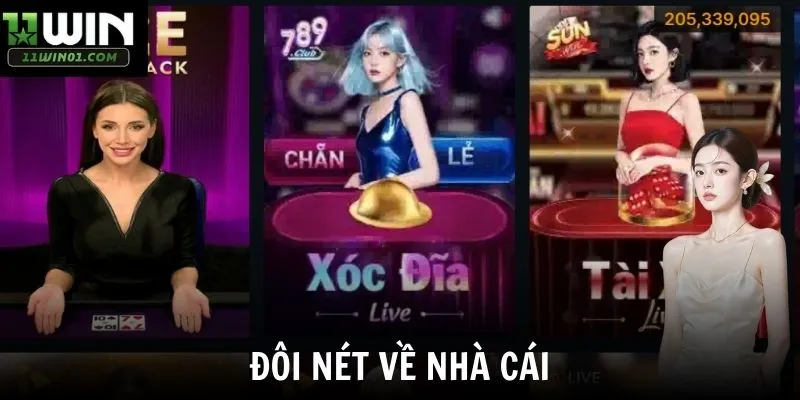Đôi nét về nhà cái
