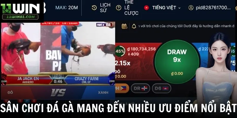 Sân chơi đá gà mang đến nhiều ưu điểm nổi bật