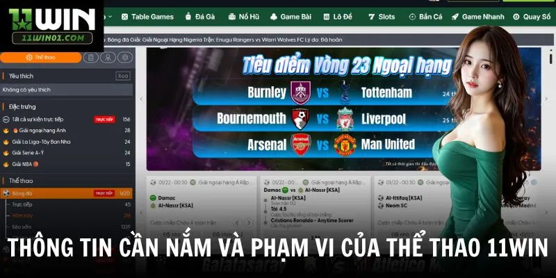 Thông tin cần nắm và phạm vi của thể thao 11win