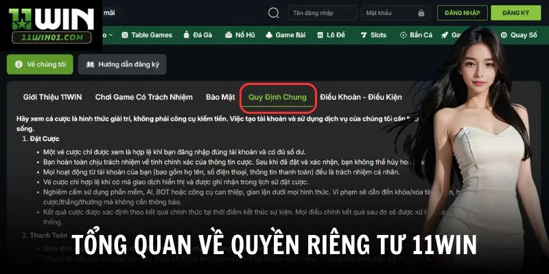 Tổng quan về quyền riêng tư 11win